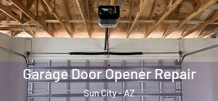  Garage Door Opener Repair Sun City - AZ