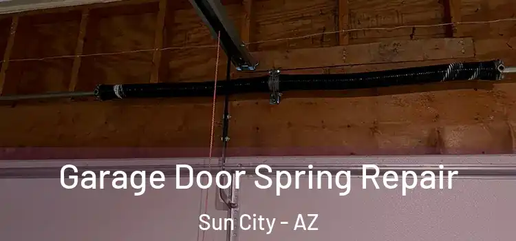  Garage Door Spring Repair Sun City - AZ