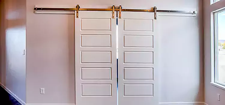Glass Barn Door with Installation Hardware Kit Sun City